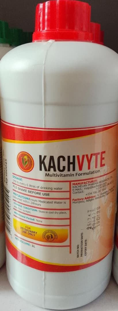 KACHVYTE 1L