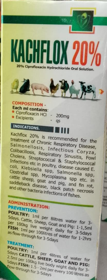 CIPROFLOXACINE 20% (KACHFLOX) 100ML
