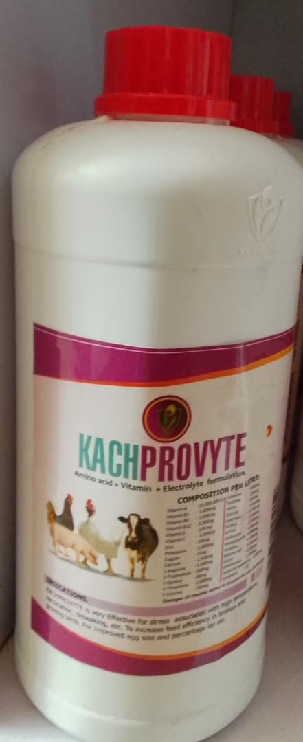 KACHPROVYTE