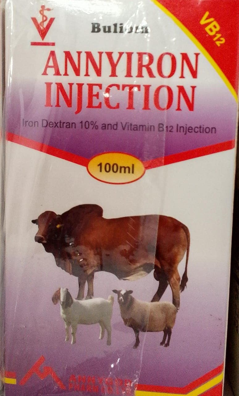 IRON DEXTRAN 10% (ANNYIRON INJ 100ML