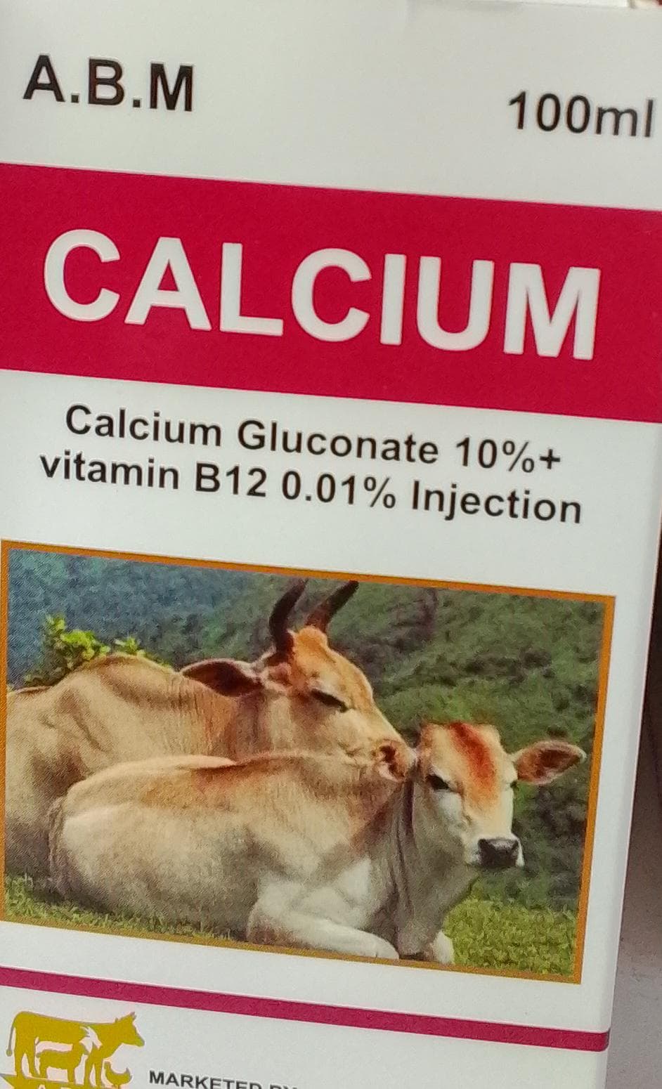INJ CALCIUM + B12 (ABM) 100ML