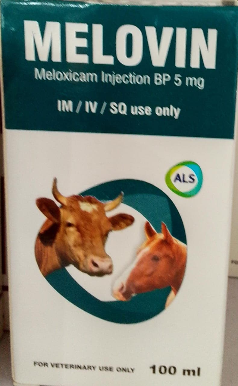 MELOXICAM INJ 5MG 100ML (MELOVIN)