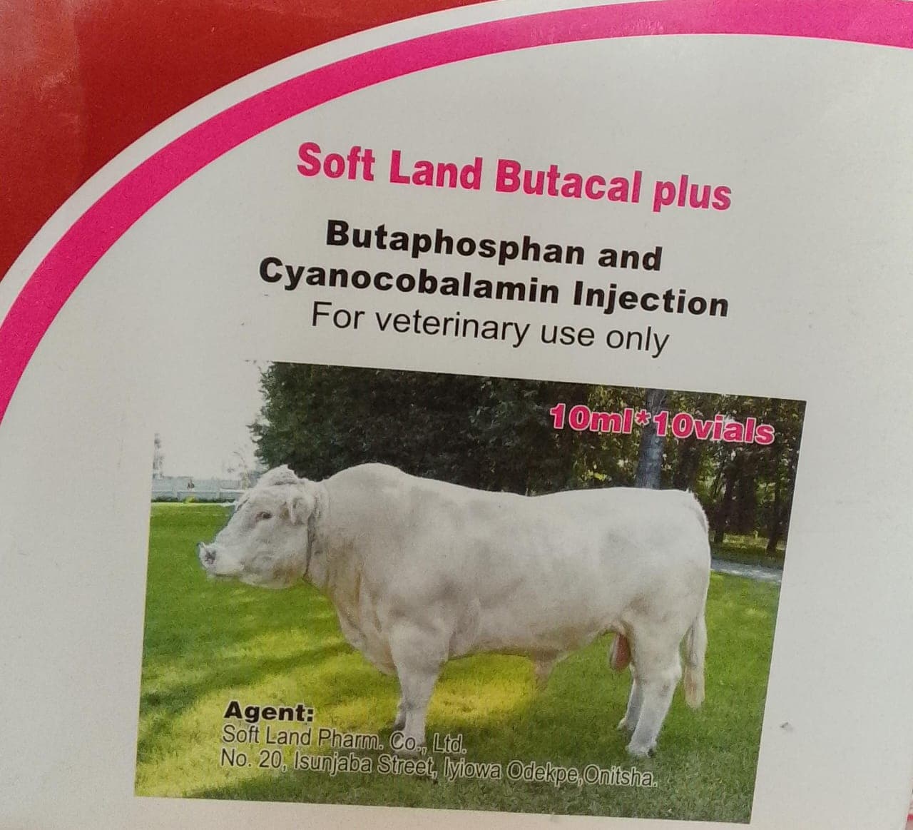 SOFT LAND BUTACAL PLUS