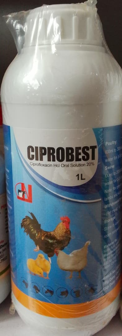 CIPROFLOXACINE HCL ORAL 20% (CIPROBEST) 1 LITRE