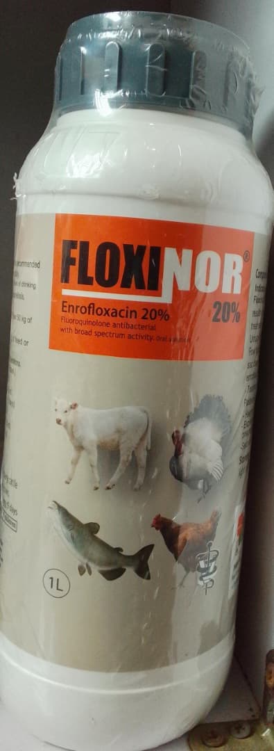ENROFLOXACINE 20% (FLOXINOR) ORAL 1L