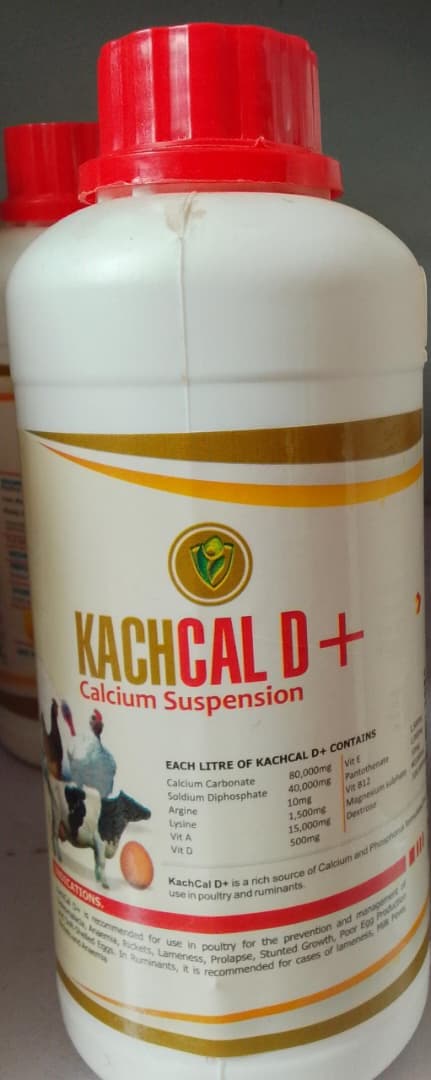 KACHCAL D (CALCIUM SUSPENSION)