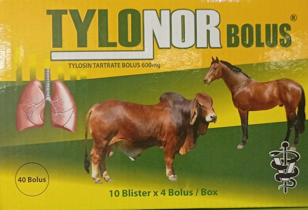 TYLONOR BOLUS 600MG