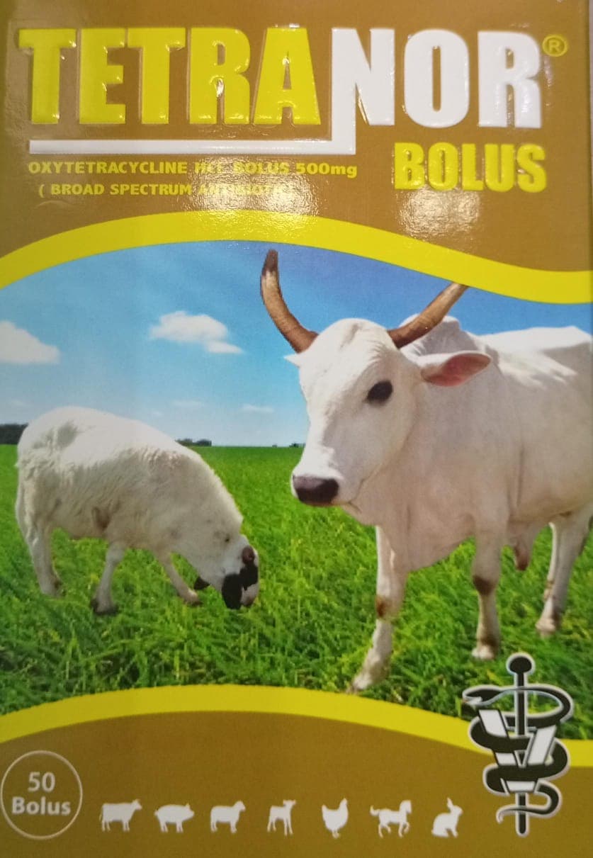 OXYTETRACYCLINE BOLUS (TETRANOR BOLUS 500MG)