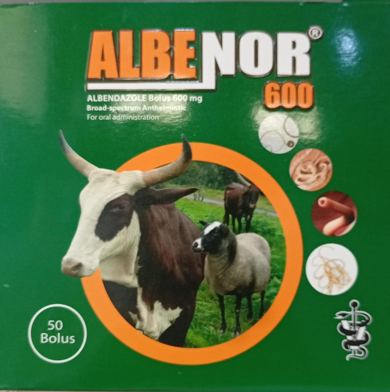 ALBENDAZOL BOLUS 600MG (ALBENOR)