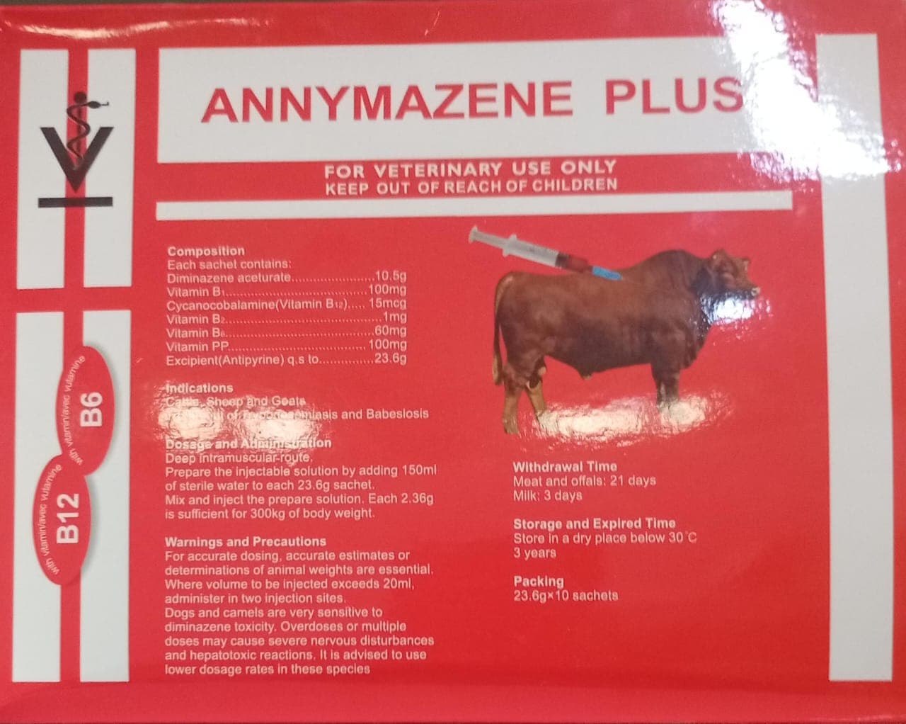 ANNYMAZENE PLUS B12 B6