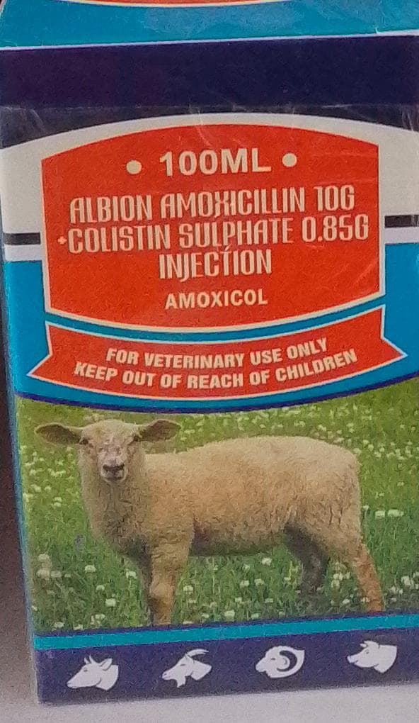 AMOXICOL 100ML (ALBION AMOXICILLIN COLISTIN)