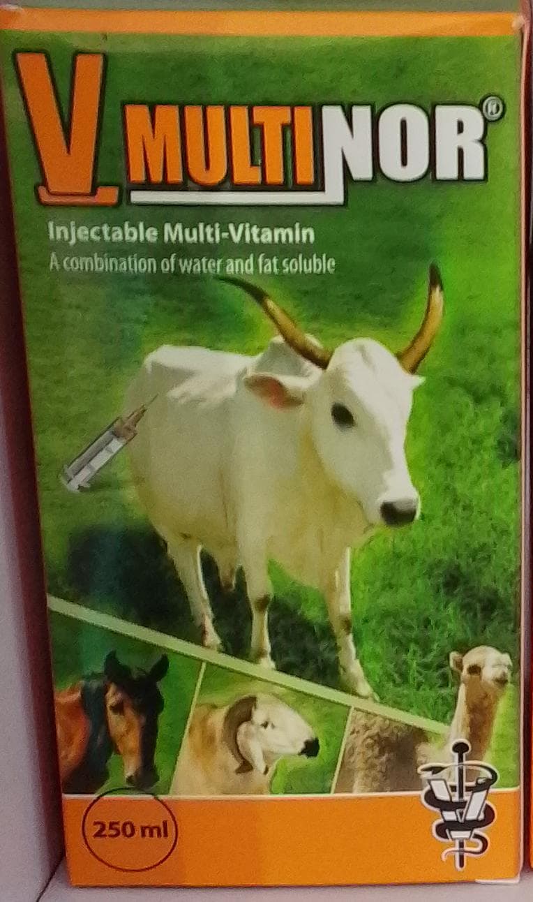 MULTIVITAMIN INJ 250ML (V-MULTINOR)
