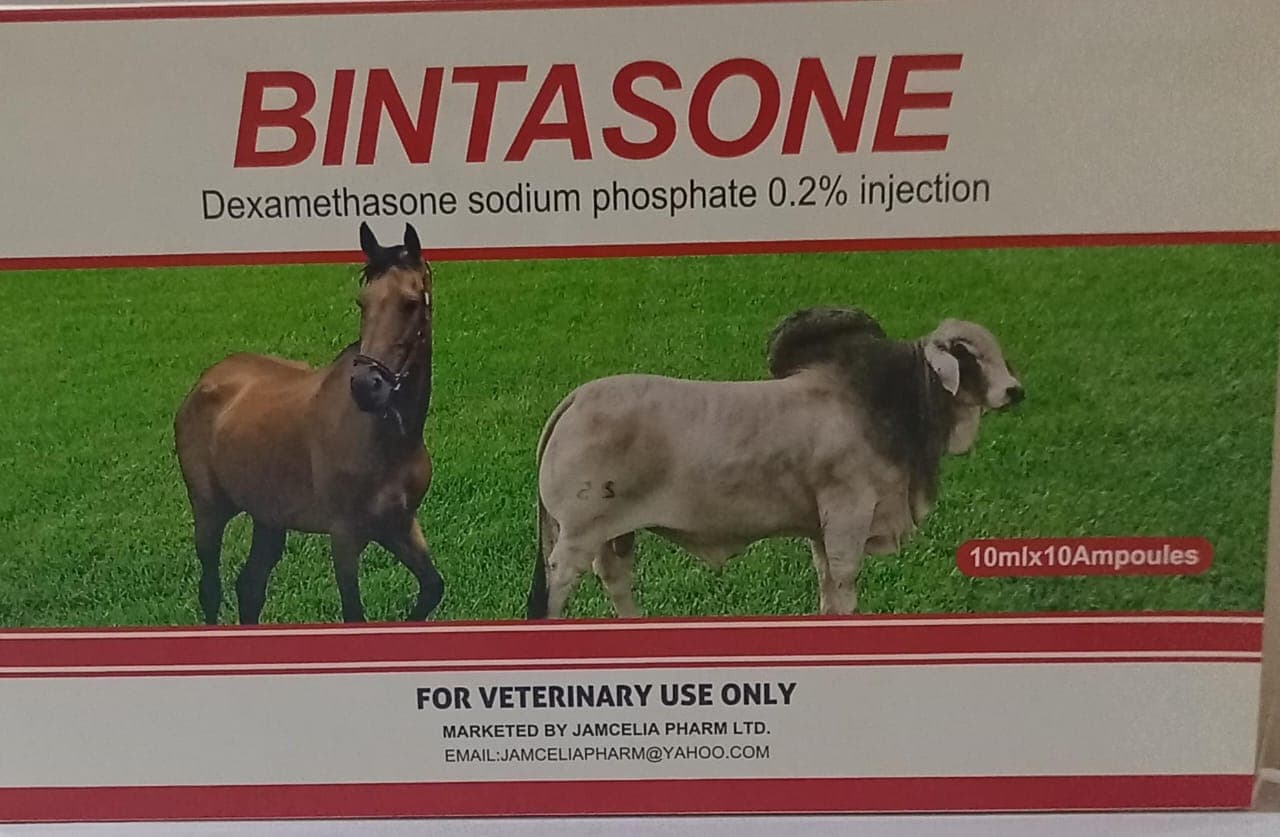 BINTASONE