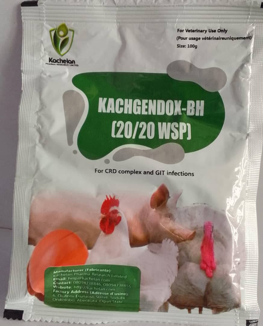 KACHGENDOX BH 20/20 WSP