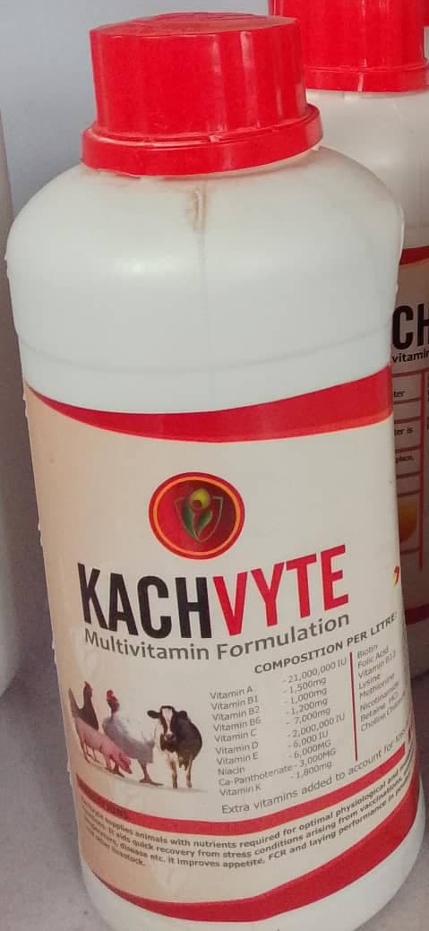 KACHVYTE MULTIVITAMIN FORMULATION 500ML