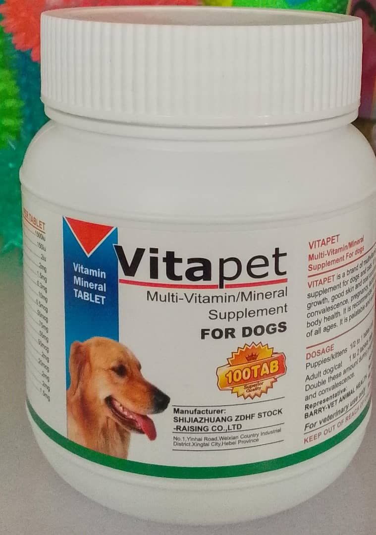 MULTIVITAMIN & MINERAL SUPPLEMENT FOR DOG (VITAPET) 100 TAB