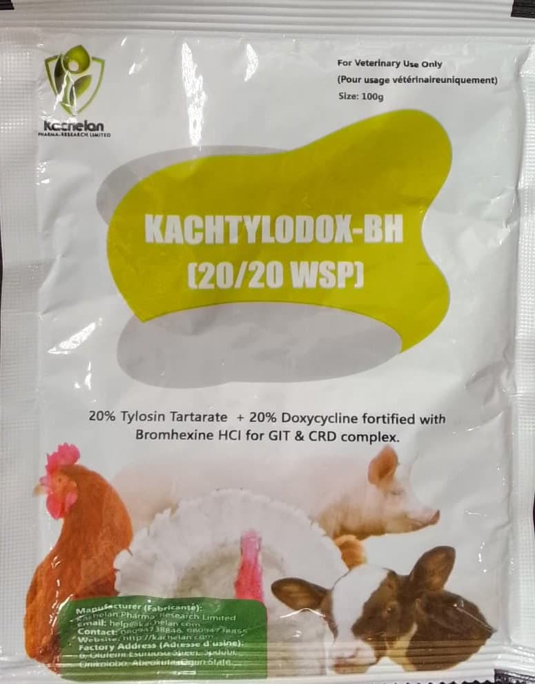 KACHTYLODOX BH 20/20 WSP
