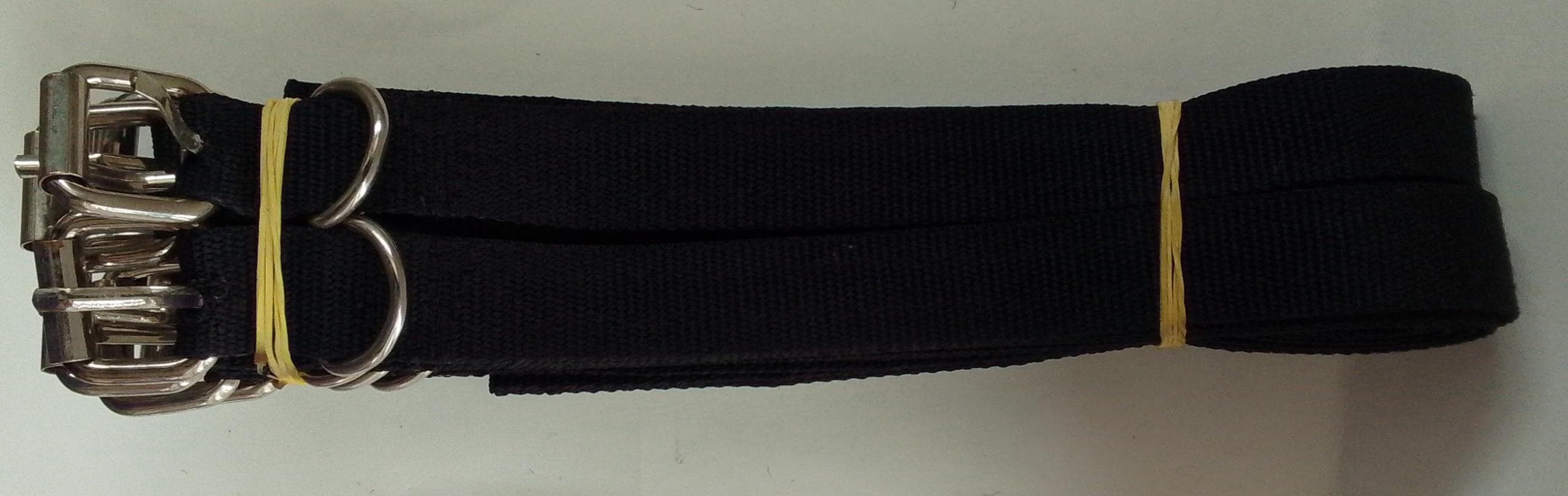 PUPPY COLLAR