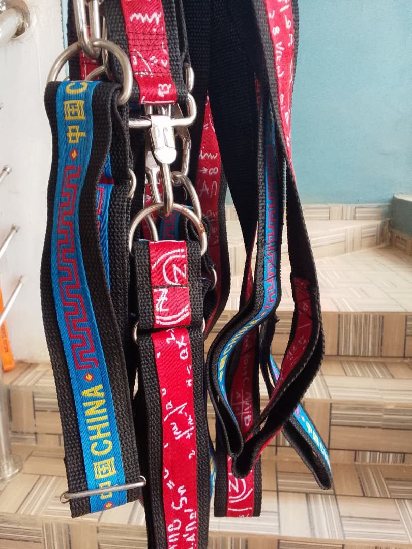 JUMBO LEASH AND COLLAR