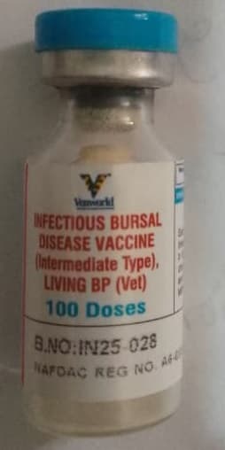 GUMBORO 100 DOSES (FDH)
