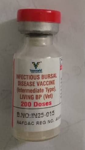 VENT IBD GUMBORO 200 DOSES
