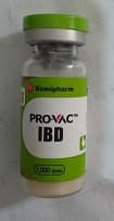 GUMBORO 1000D (PROVAC)