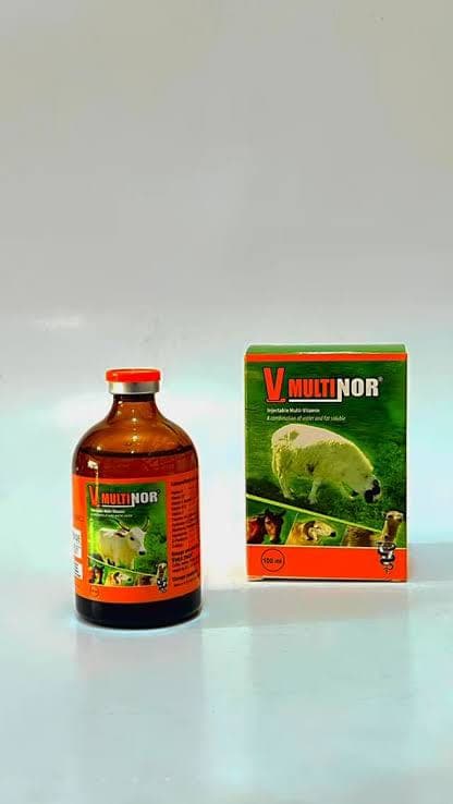 MULTIVITAMIN INJ 100ML (V-MULTINOR)